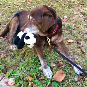 Meet your Posher, Lexie